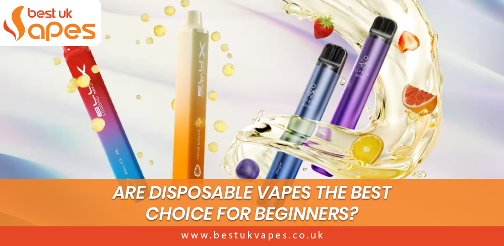 Disposable Vapes the best choice