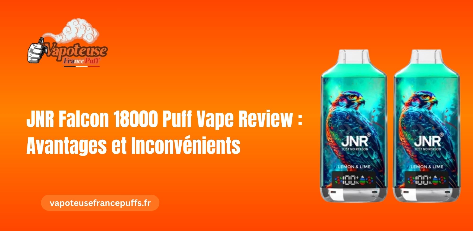 JNR Falcon 18000 Puff Vape Review : Avantages et Inconvénients