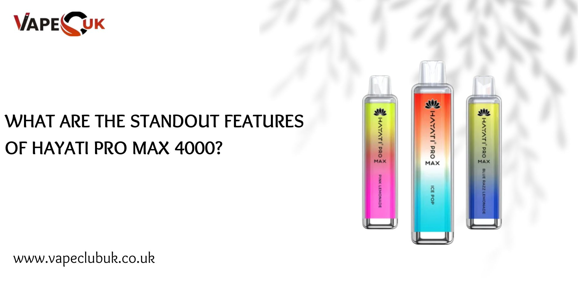 standout features of Hayati Pro Max 4000